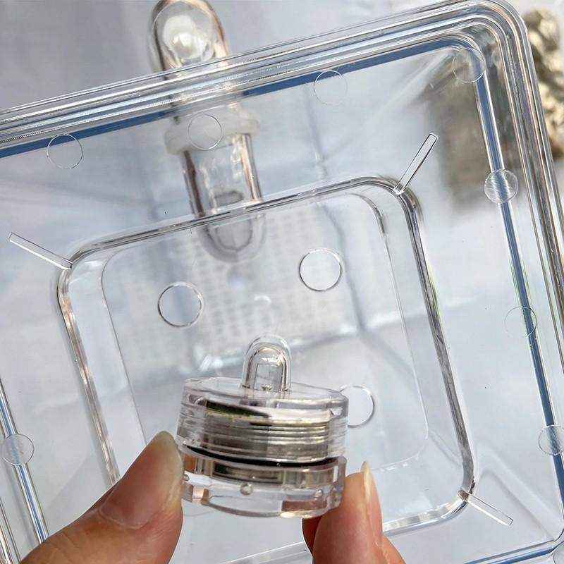 Stylish Self-Cleaning Mini Fish Tank with LED Light - Image 4