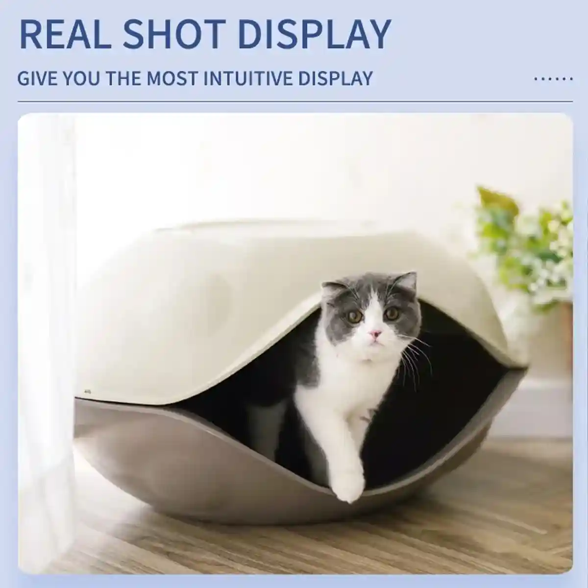 Semi Enclosed Eggshell Cat Bed for Indoor Use - Image 11