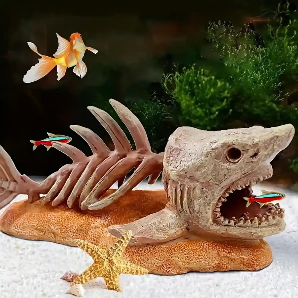 Shark Skeleton Resin Decor – Aquarium Ornament for Dramatic Aquascapes - Image 5