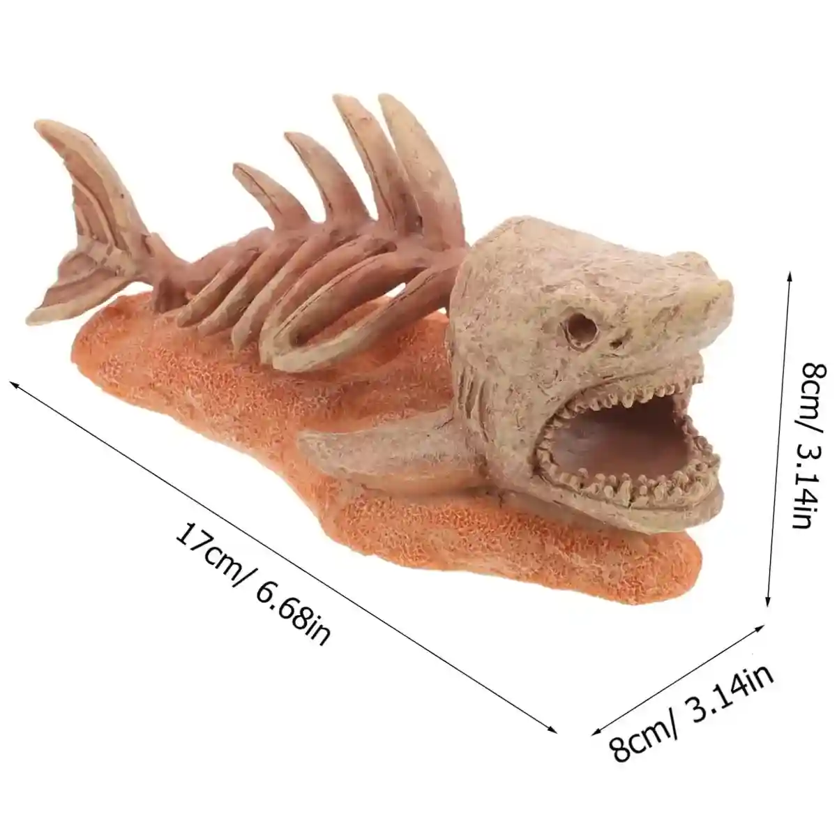 Shark Skeleton Resin Decor – Aquarium Ornament for Dramatic Aquascapes - Image 6