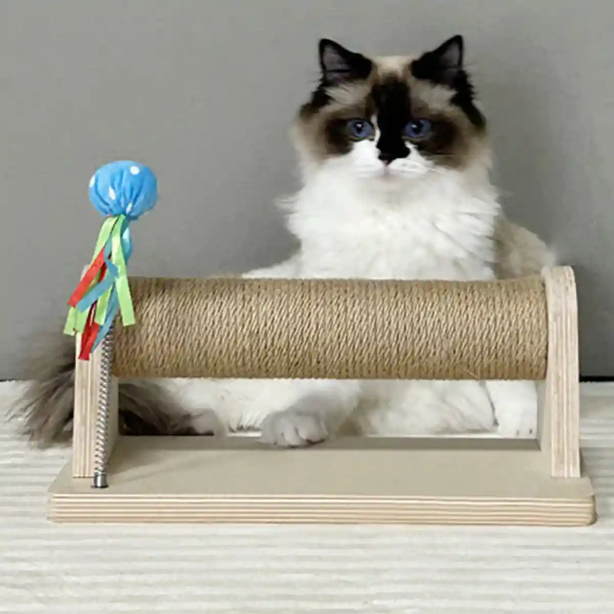 Compact Sisal Cat Scratching Post With Wooden Base and Toy Ball - Image 13