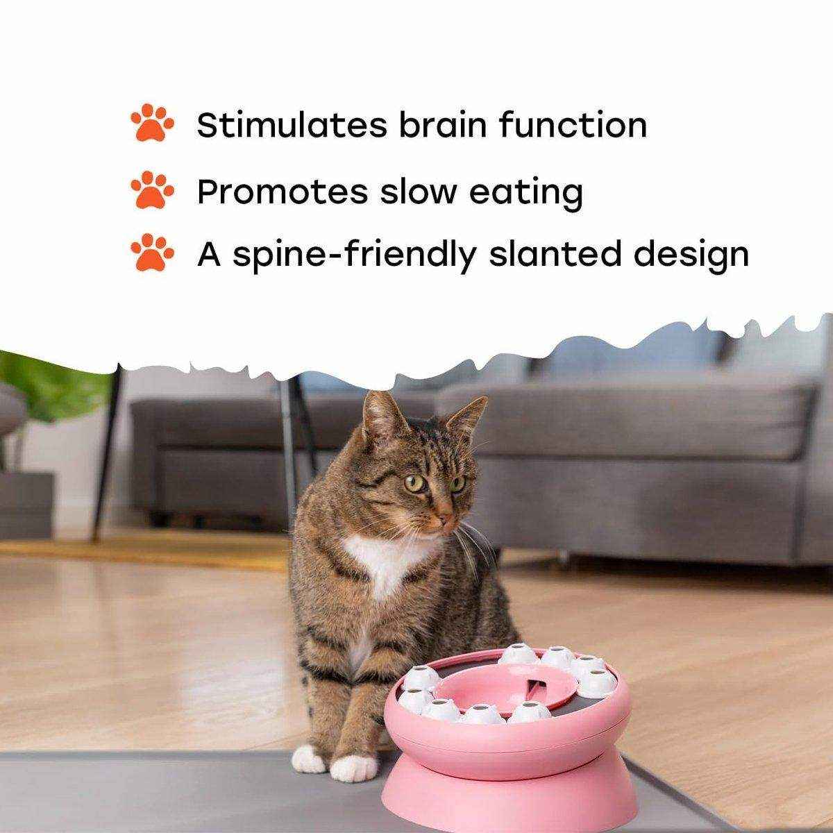 Interactive Slow Feeder Bowl Hidden Food Toy for Cats and Dogs Promotes Healthy Eating - Image 14