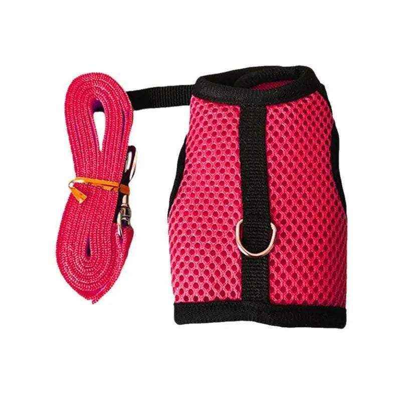 Small Animal Harness Guinea Pig Forret Hamster Rabbit Squirrel Vest Clothes Lead - Image 15