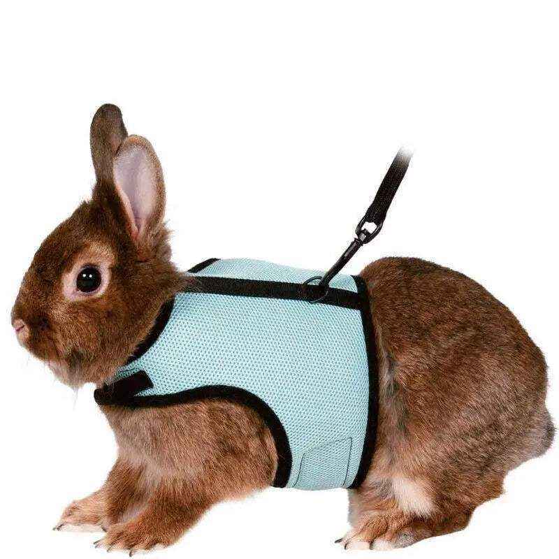 Small Animal Harness Guinea Pig Forret Hamster Rabbit Squirrel Vest Clothes Lead - Image 5