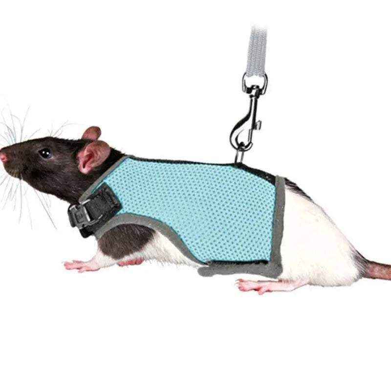 Small Animal Harness Guinea Pig Forret Hamster Rabbit Squirrel Vest Clothes Lead - Image 9