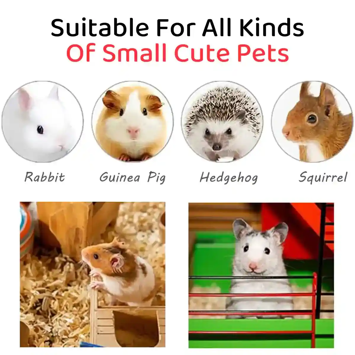Small Pet Double Villa Cage Two-Tier Metal Habitat for Rabbits - Image 14