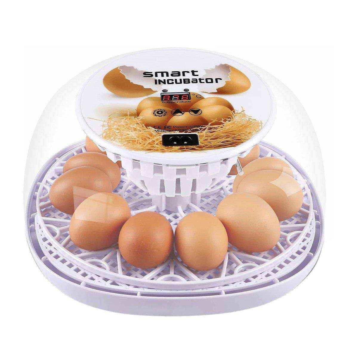 Automatic Small Egg Incubator for Chicken Pigeon - Image 2