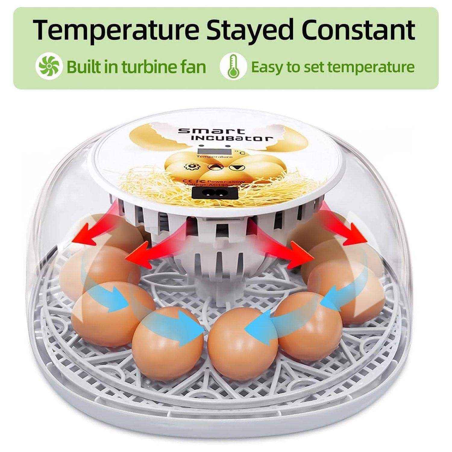 Automatic Small Egg Incubator for Chicken Pigeon - Image 5