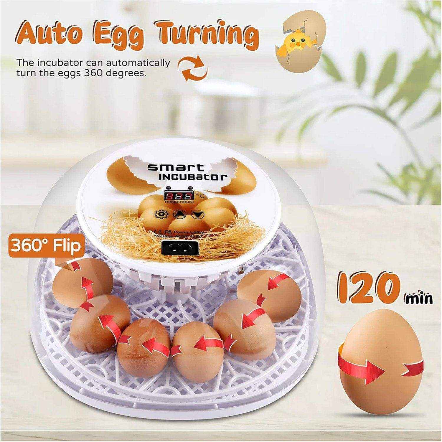 Automatic Small Egg Incubator for Chicken Pigeon - Image 7