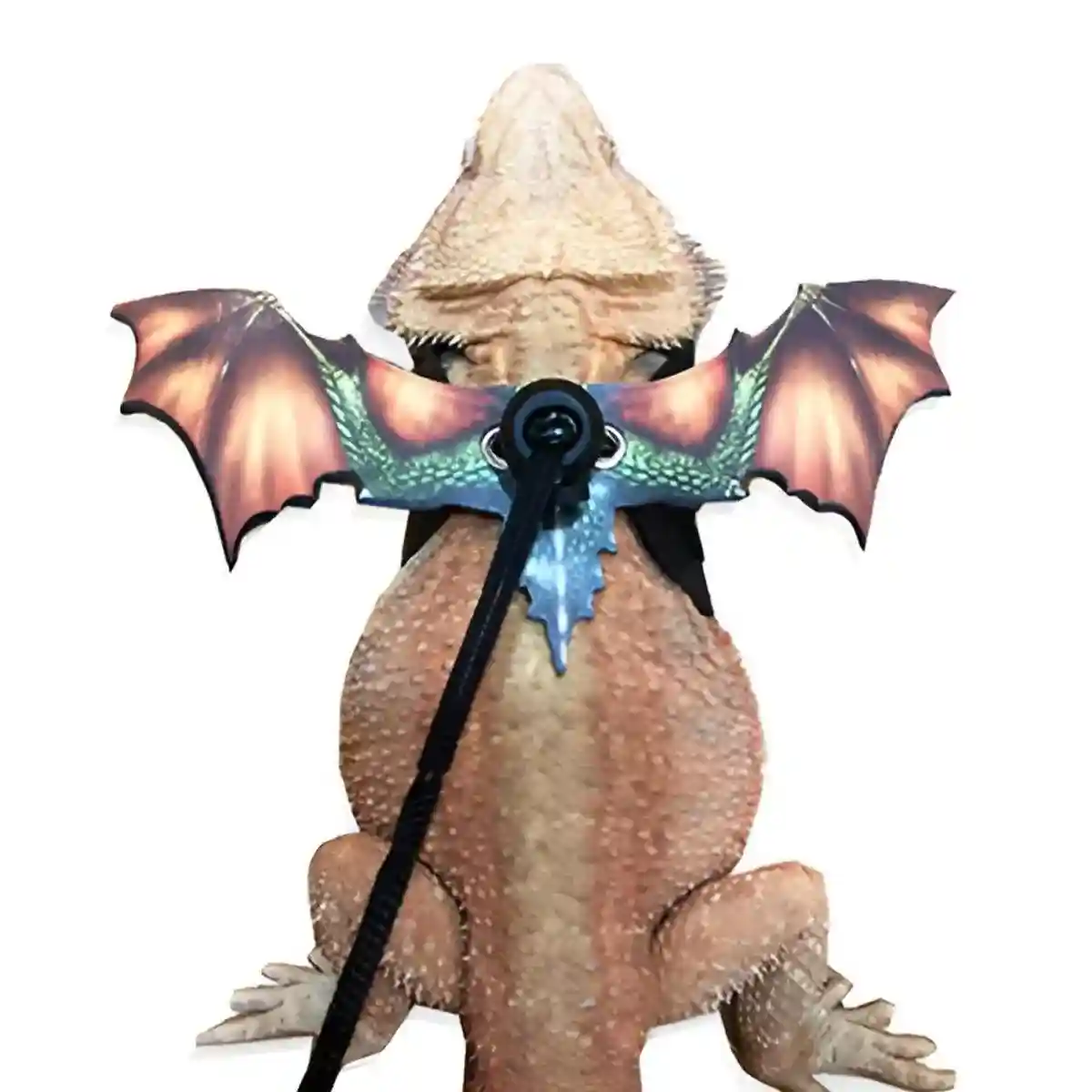 Small Pet Harness with Wings Climbing Rope Leather Chest Lead for Walking - Image 15