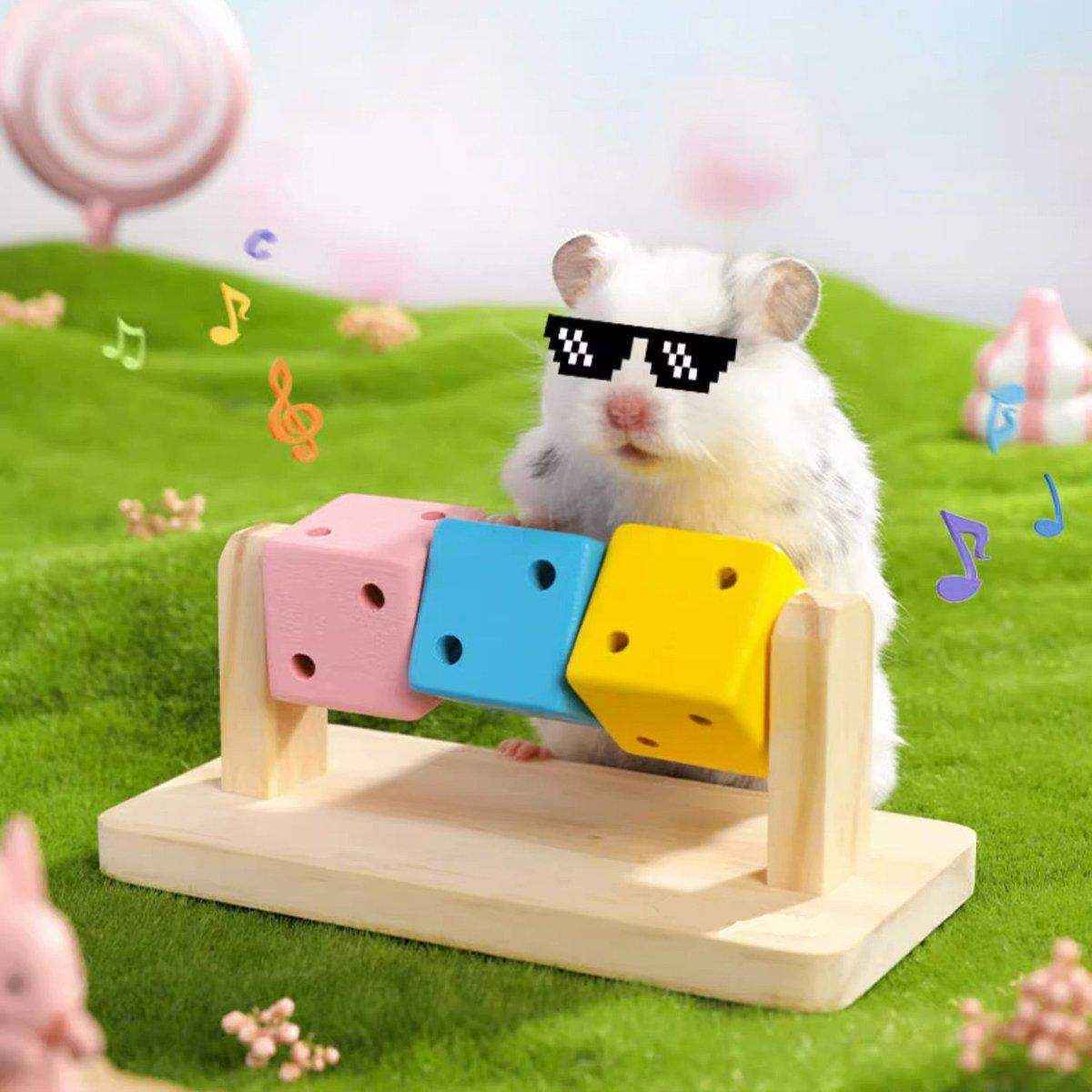 Wooden Chew Toy with Colorful Blocks Small Pet Toys - Image 13