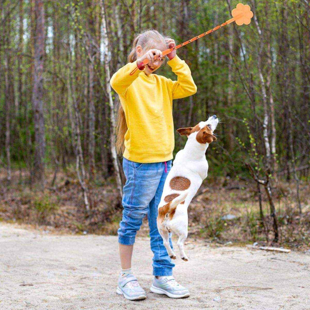 2PCS Soft Dog Training Stick Flexible Pet Training Tool - Image 10