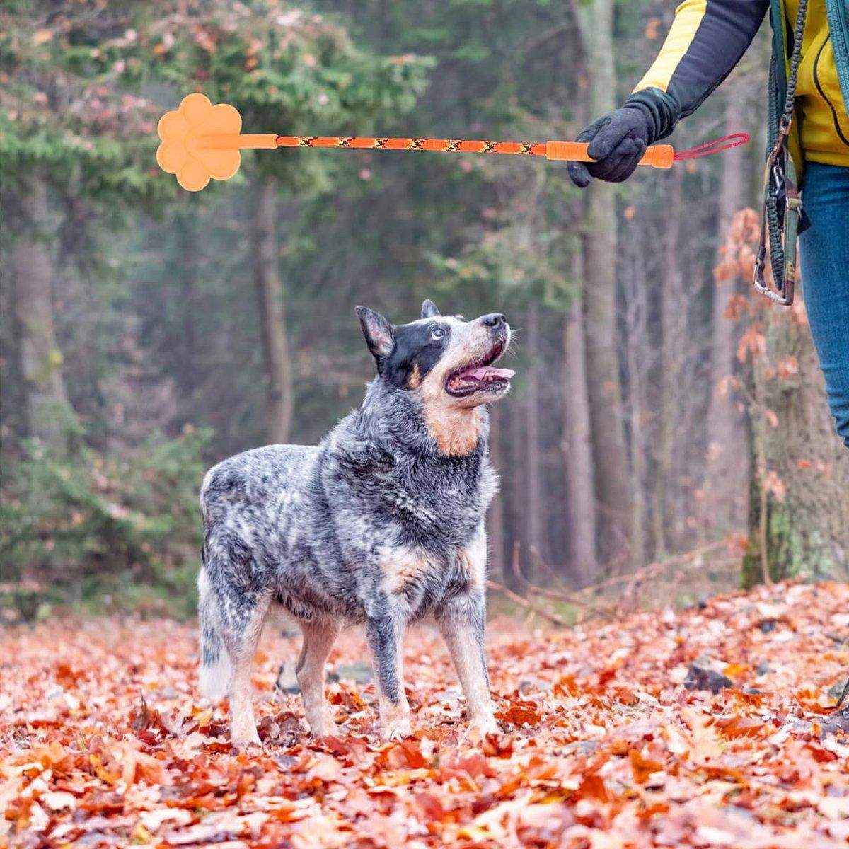 2PCS Soft Dog Training Stick Flexible Pet Training Tool - Image 11