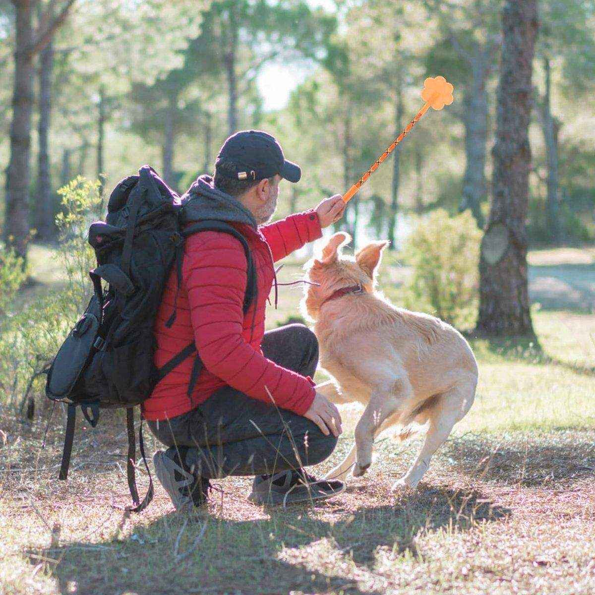 2PCS Soft Dog Training Stick Flexible Pet Training Tool - Image 7