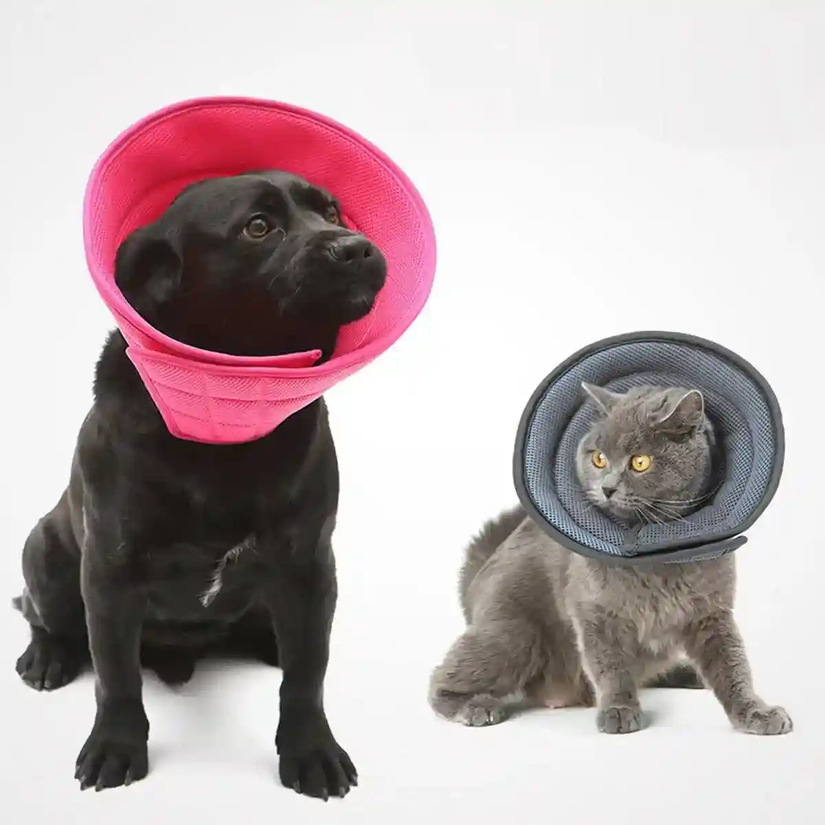Soft Mesh Elizabeth Collar for Cats & Dogs Comfortable Recovery Protection - Image 12