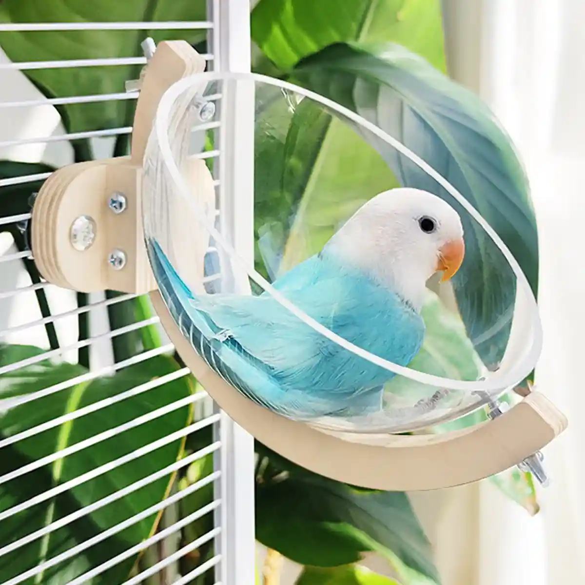 Transparent Bird Nest Capsule Wooden Wall-Mount Design Hummingbird House - Image 15