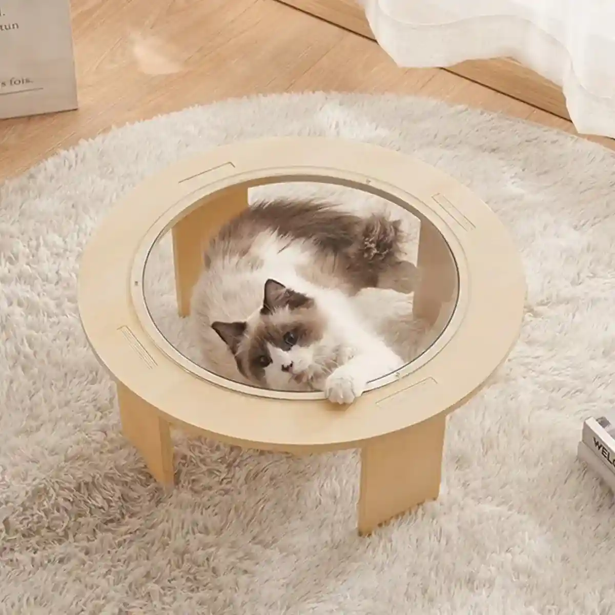 Modern Wooden Stand Space Capsule Cat Nest with Clear Bowl - Image 12