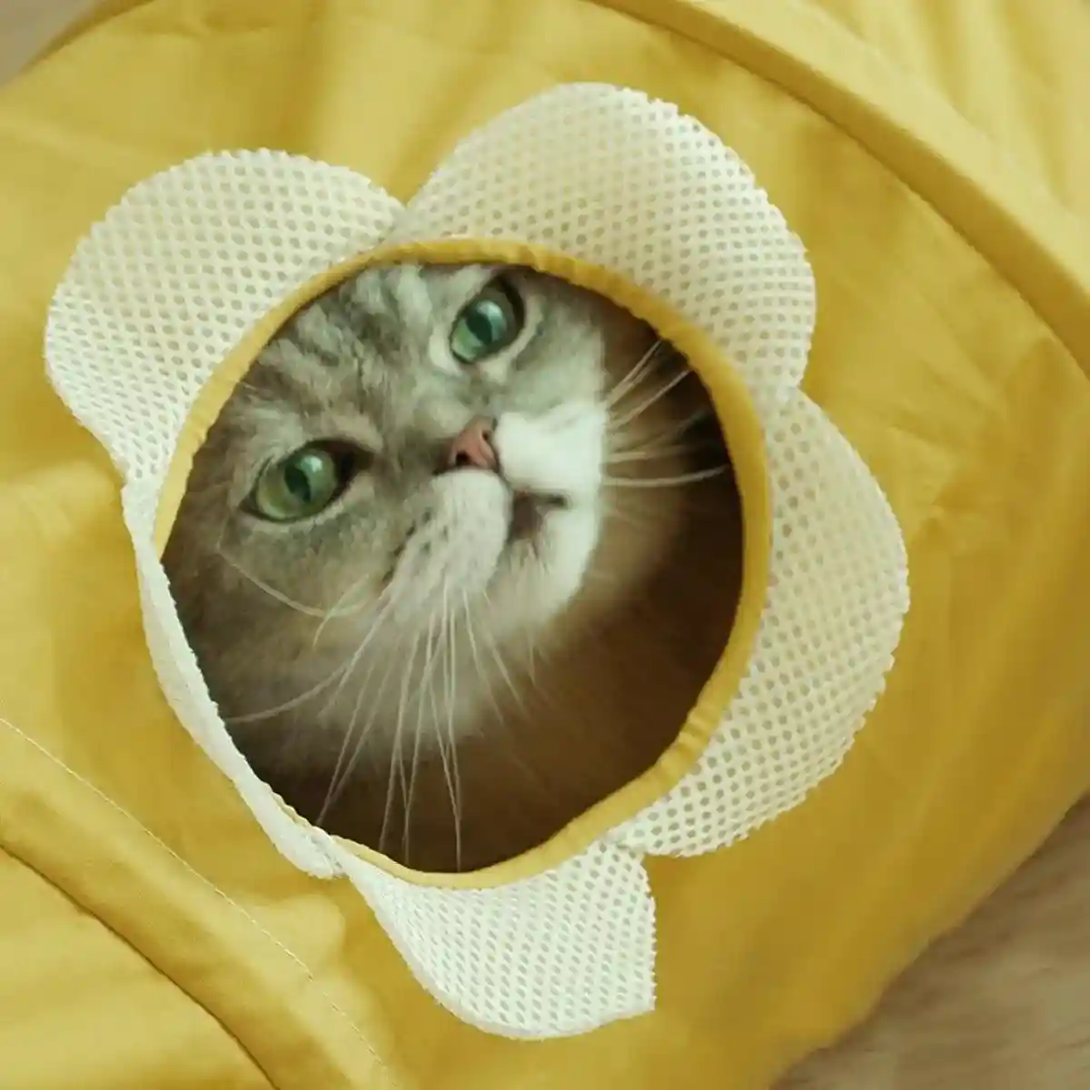 Spiral Folding Cat Play Tunnel Cooling Fabric Tunnel for Cats - Image 9