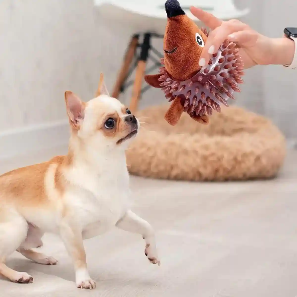 Durable Squeaky Dog Toy Fun Hedgehog & Turtle Chew Toy for Small to Medium Dogs - Image 4