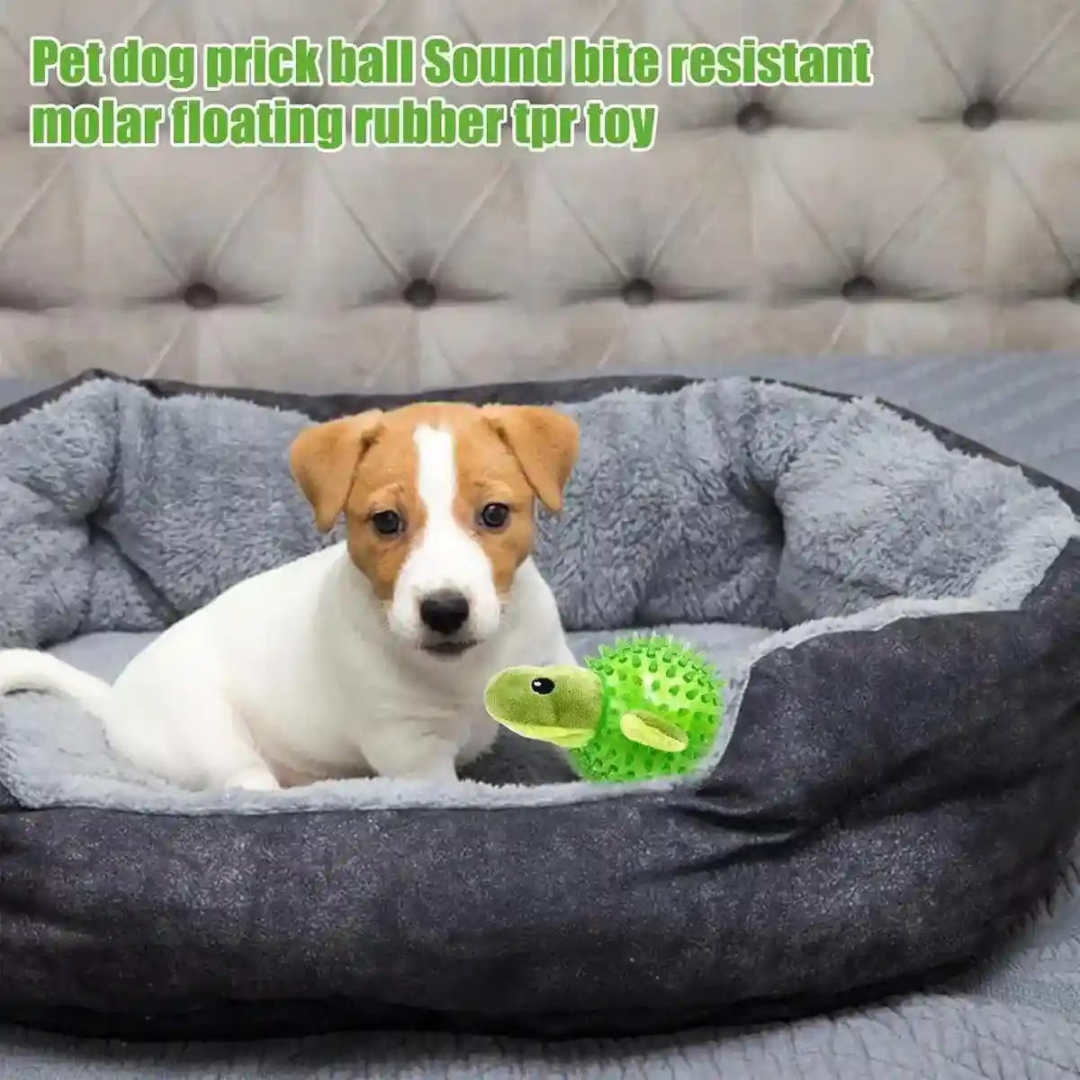 Durable Squeaky Dog Toy Fun Hedgehog & Turtle Chew Toy for Small to Medium Dogs - Image 6