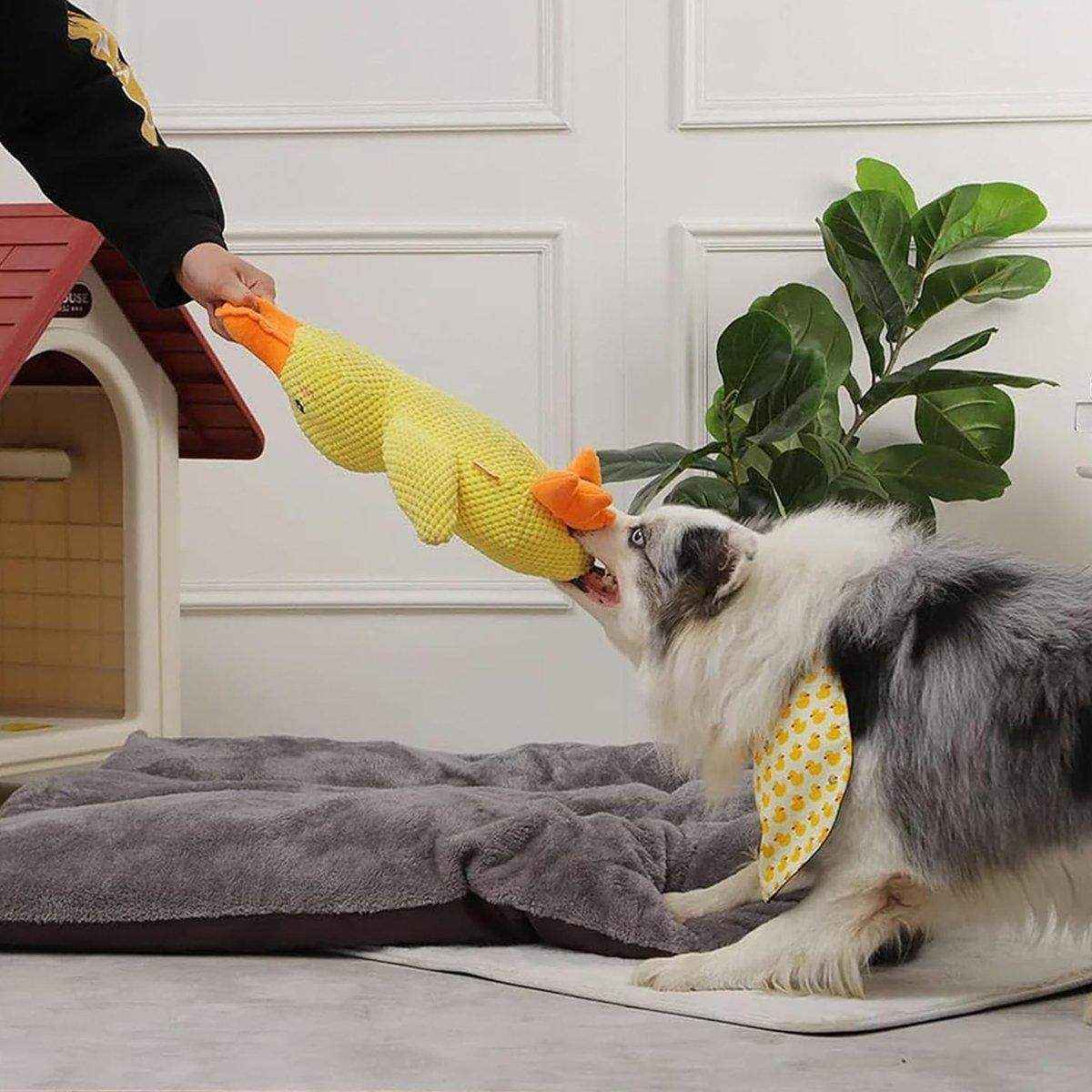 Plush Squeaky Duck Dog Toy for Anxiety Relief and Playtime Fun - Image 4