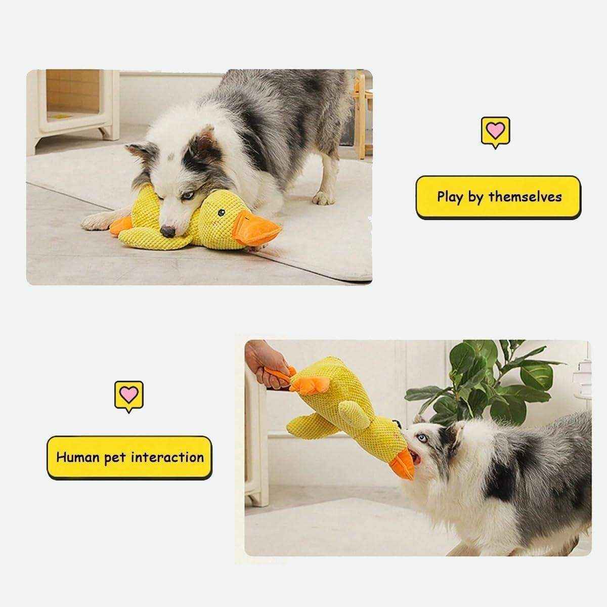 Plush Squeaky Duck Dog Toy for Anxiety Relief and Playtime Fun - Image 5