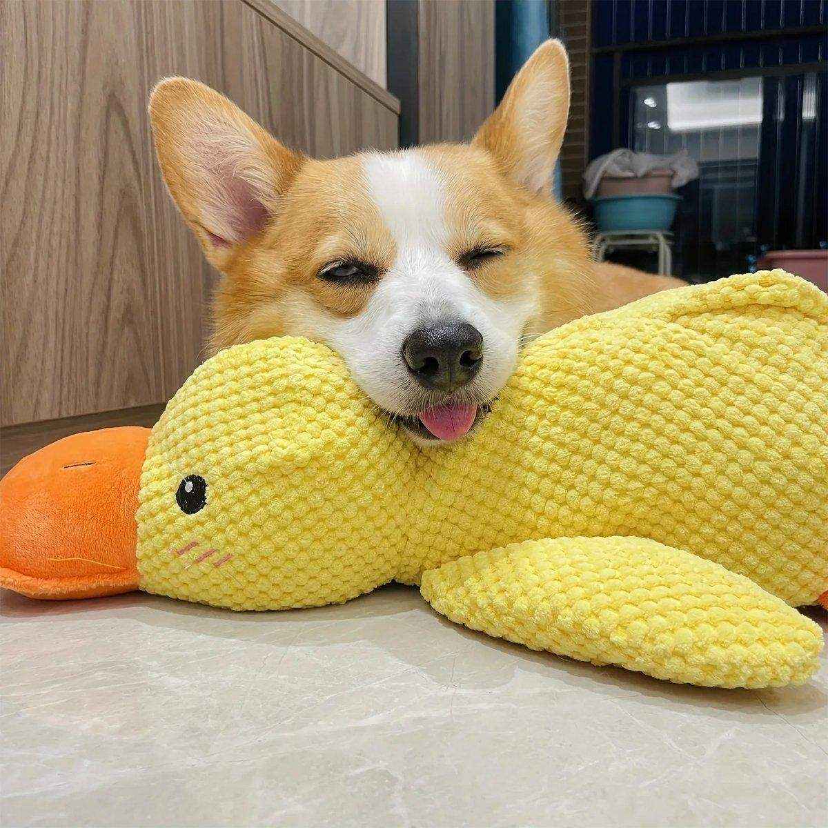 Plush Squeaky Duck Dog Toy for Anxiety Relief and Playtime Fun - Image 9