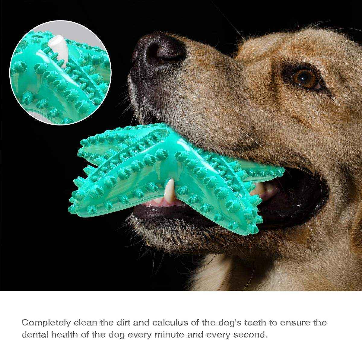 Squeaky Pet Chew Toy Durable Starfish Design for Dogs - Image 9