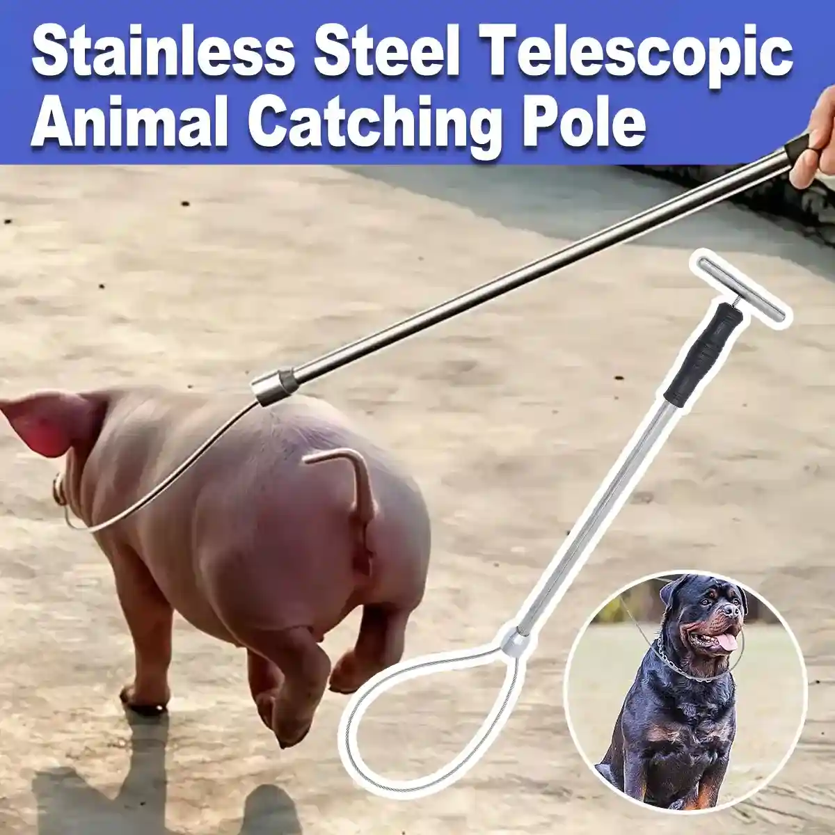 Stainless Steel Animal Catching Pole - Image 2