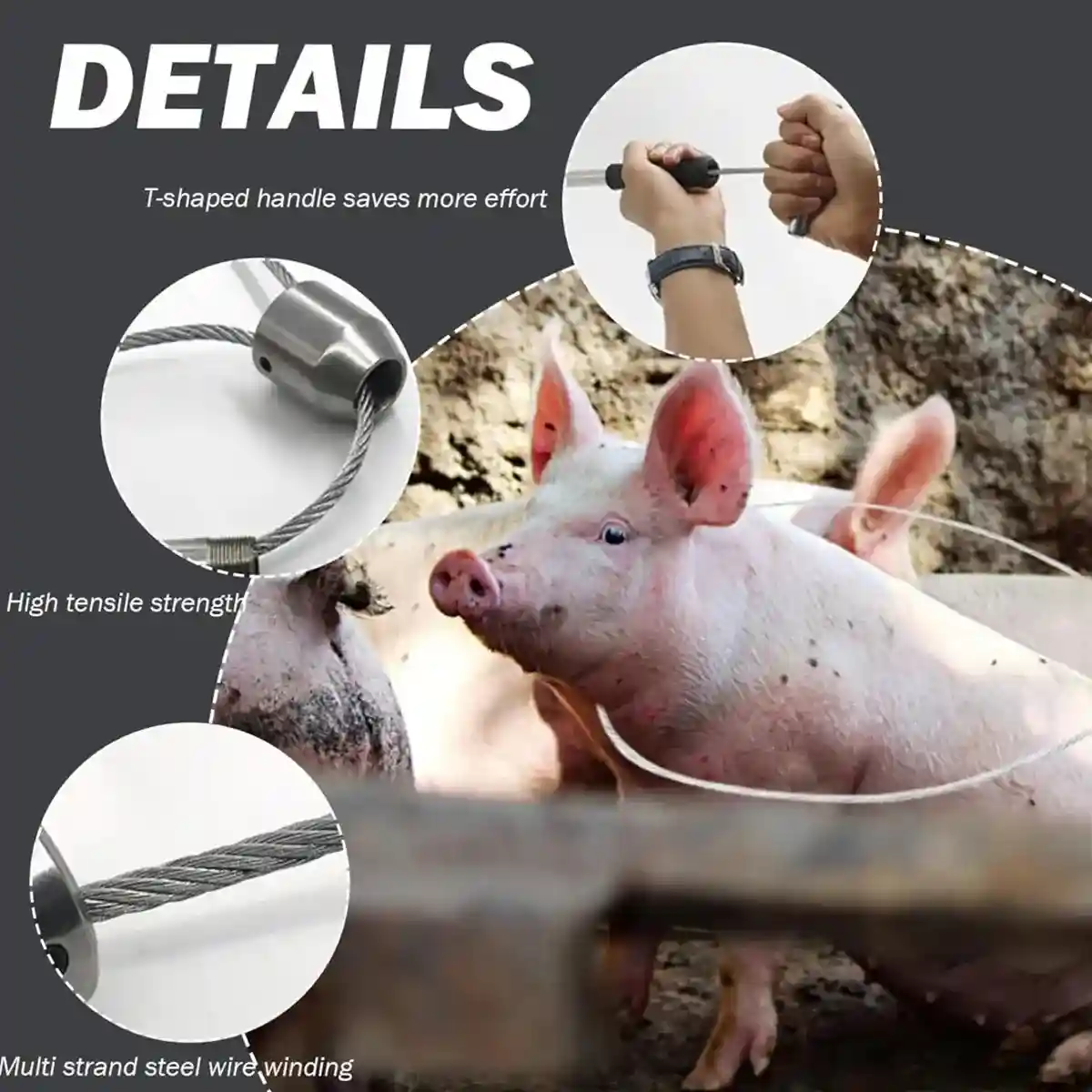 Stainless Steel Animal Catching Pole - Image 7