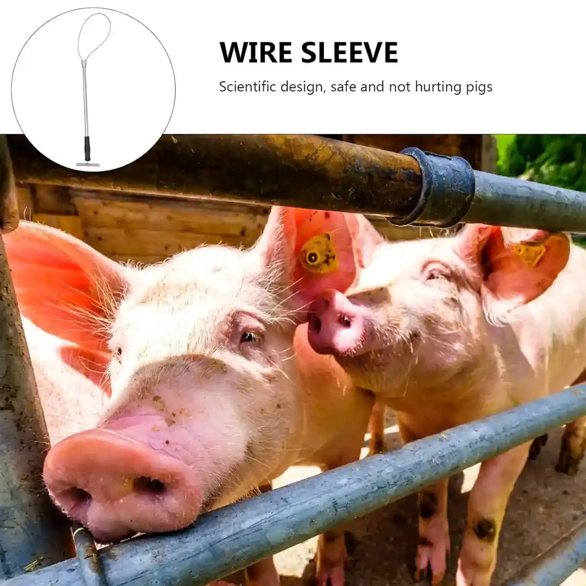 Stainless Steel Animal Catching Pole - Image 9