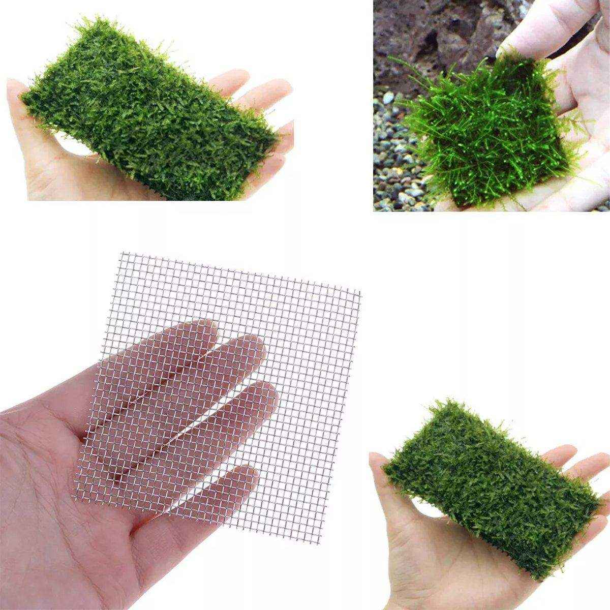 10pcs Stainless Steel Wire Mesh for Water Plants Fish Tank Aquarium Decoration - Image 4