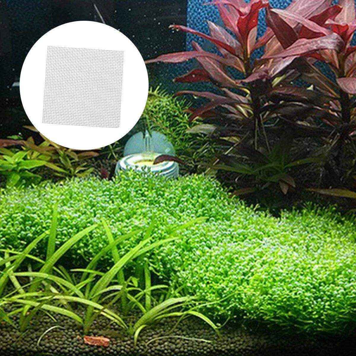 10pcs Stainless Steel Wire Mesh for Water Plants Fish Tank Aquarium Decoration - Image 7