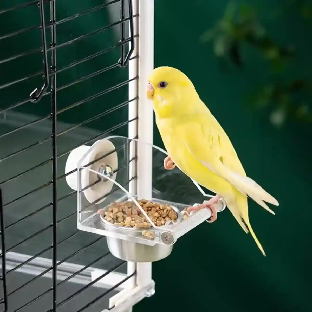 Durable Stainless Steel Bird Bowl with Acrylic Feeder for Mess-Free Feeding - Image 8