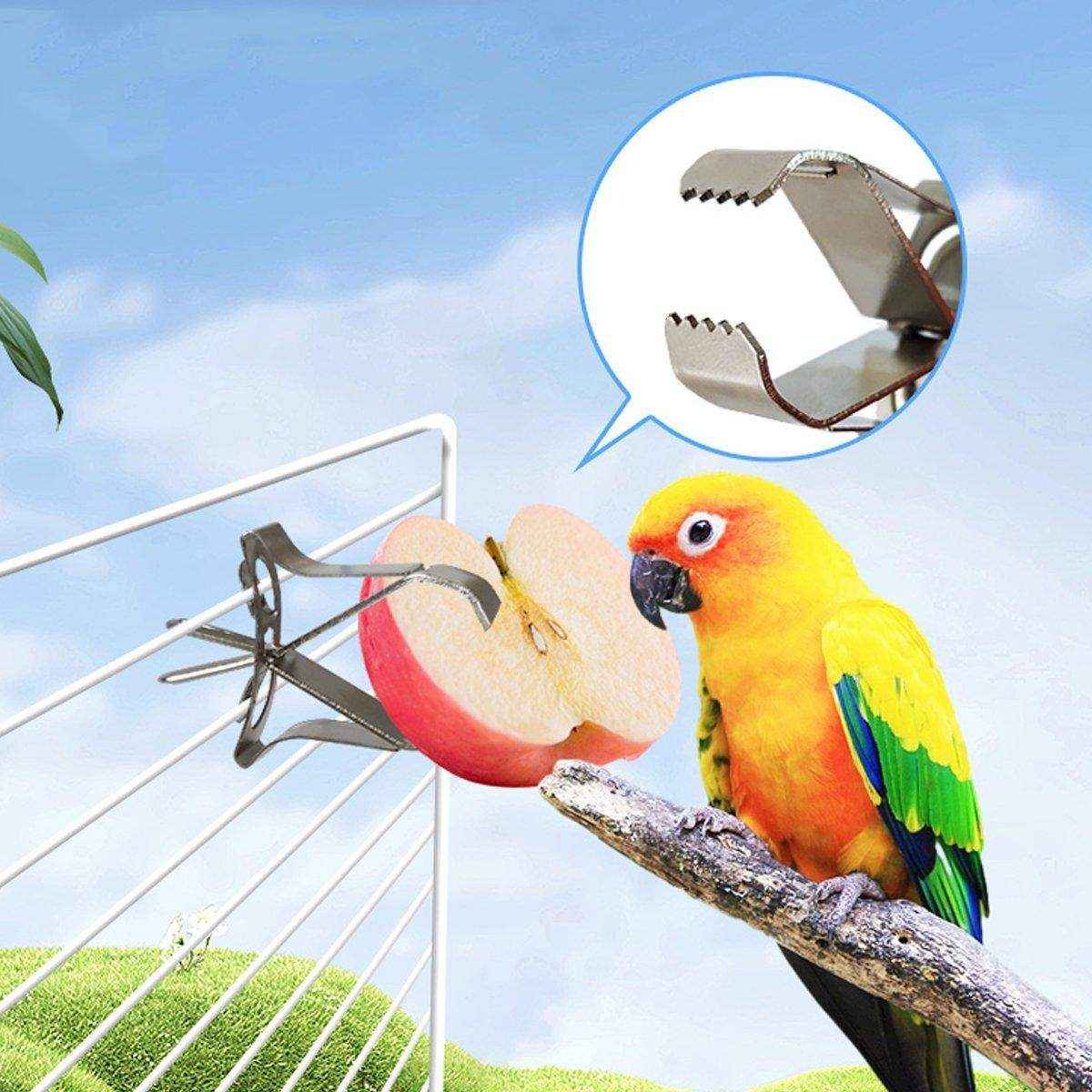 6X Fruit Pet Cage Accessories Bird Food Holders Clip Parrot Feeder Feeding Clamp - Image 12