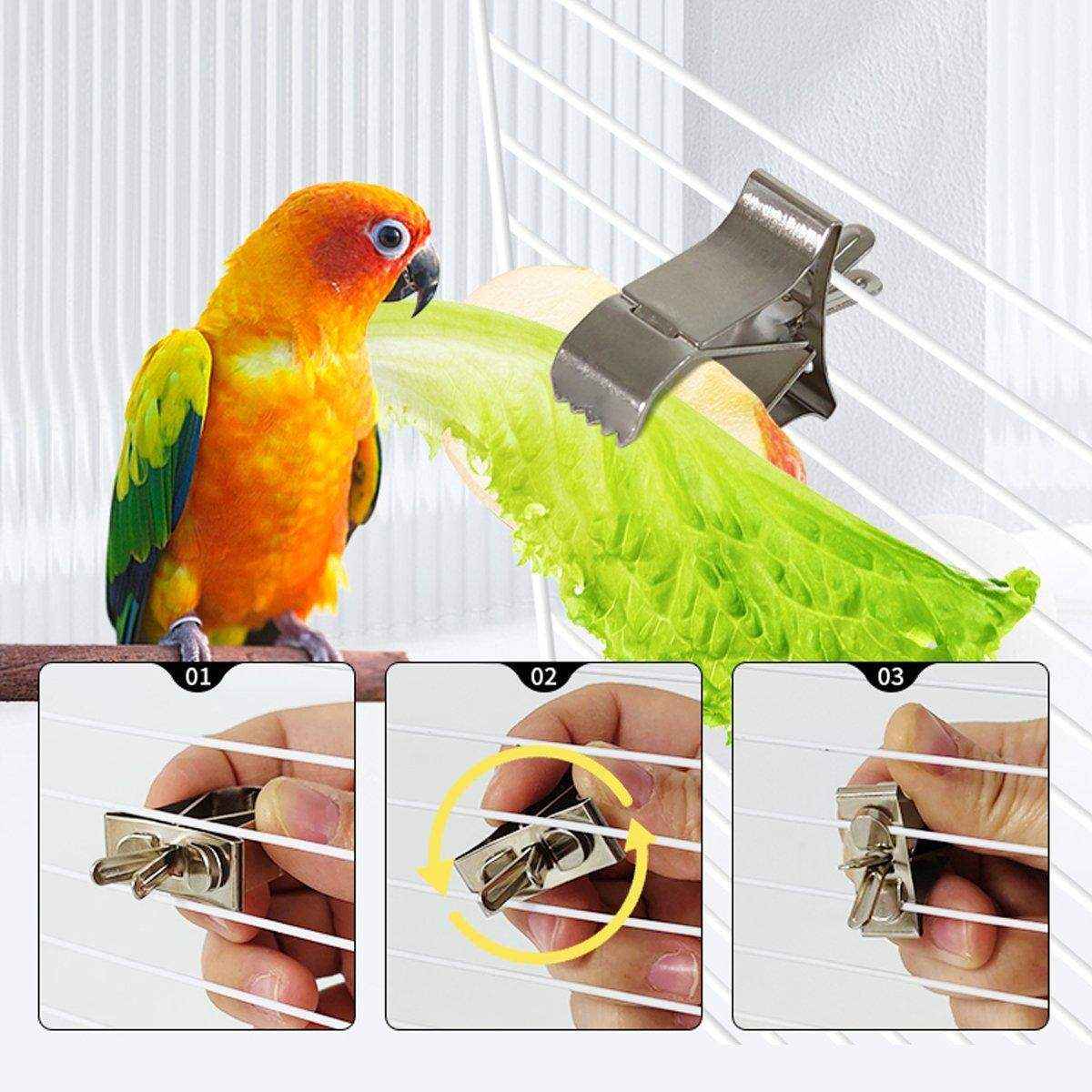 6X Fruit Pet Cage Accessories Bird Food Holders Clip Parrot Feeder Feeding Clamp - Image 8