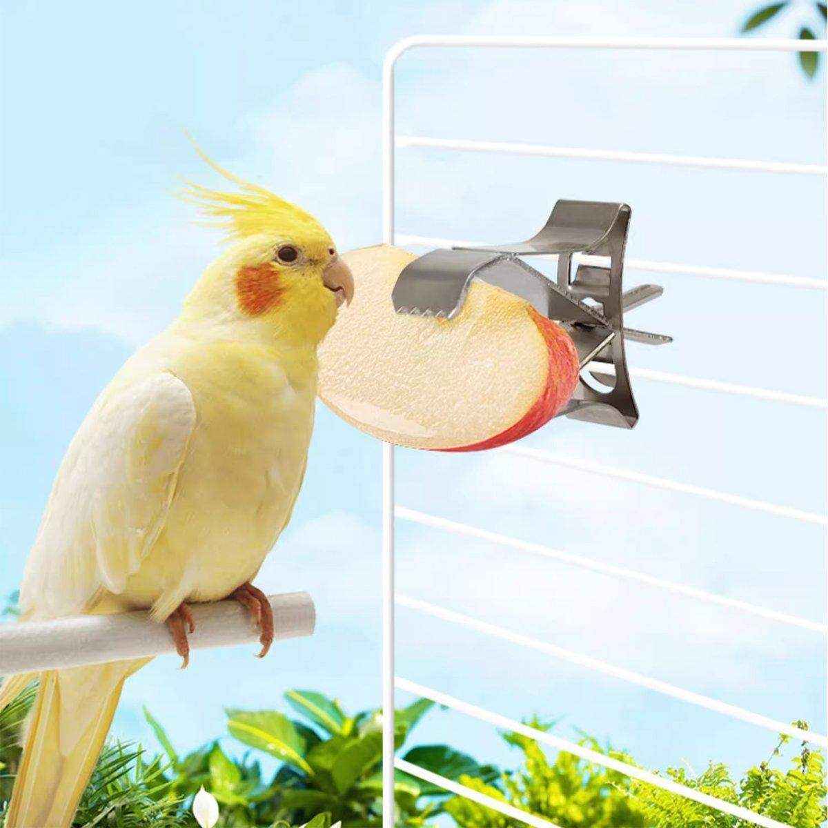 6X Fruit Pet Cage Accessories Bird Food Holders Clip Parrot Feeder Feeding Clamp - Image 9