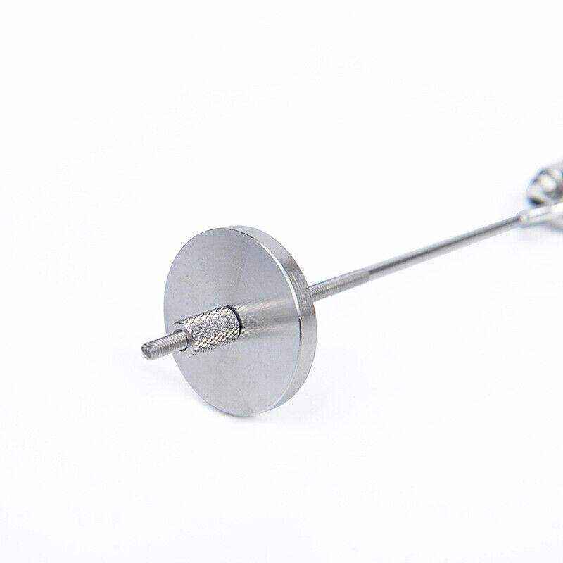 Durable Stainless Steel Bird Skewer For Cage Feeding - Image 8
