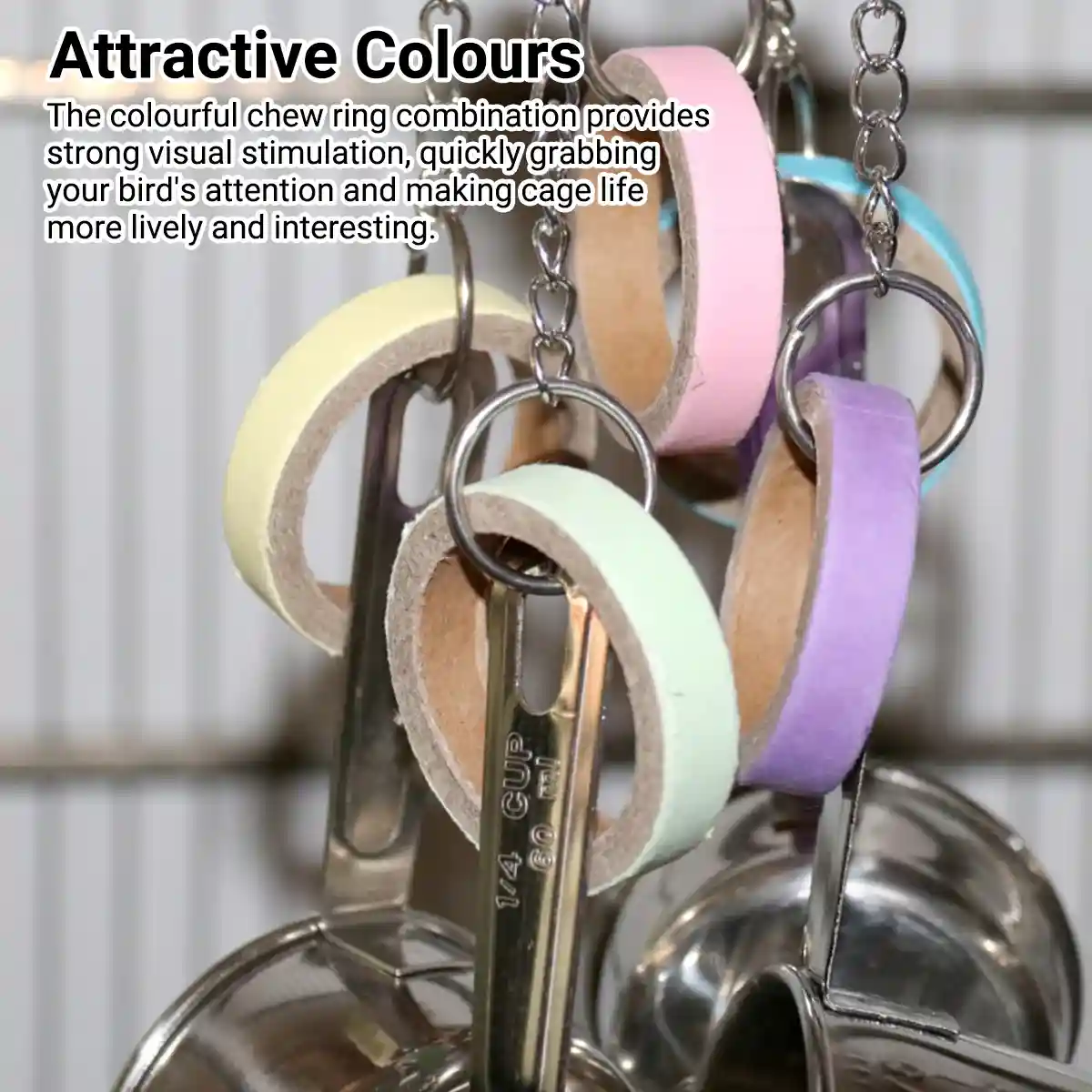Stainless Steel Parrot Toy Bell & Colourful Paper Rings for Birds - Image 4