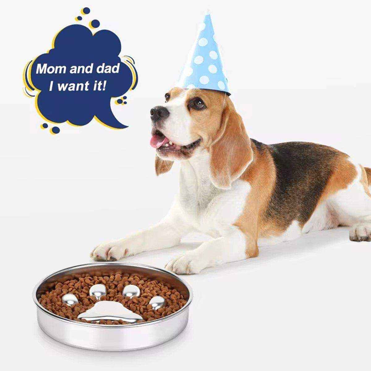Durable Stainless Steel Slow Feeder Dog Bowl Anti-Bloat & Healthy Eating - Image 10