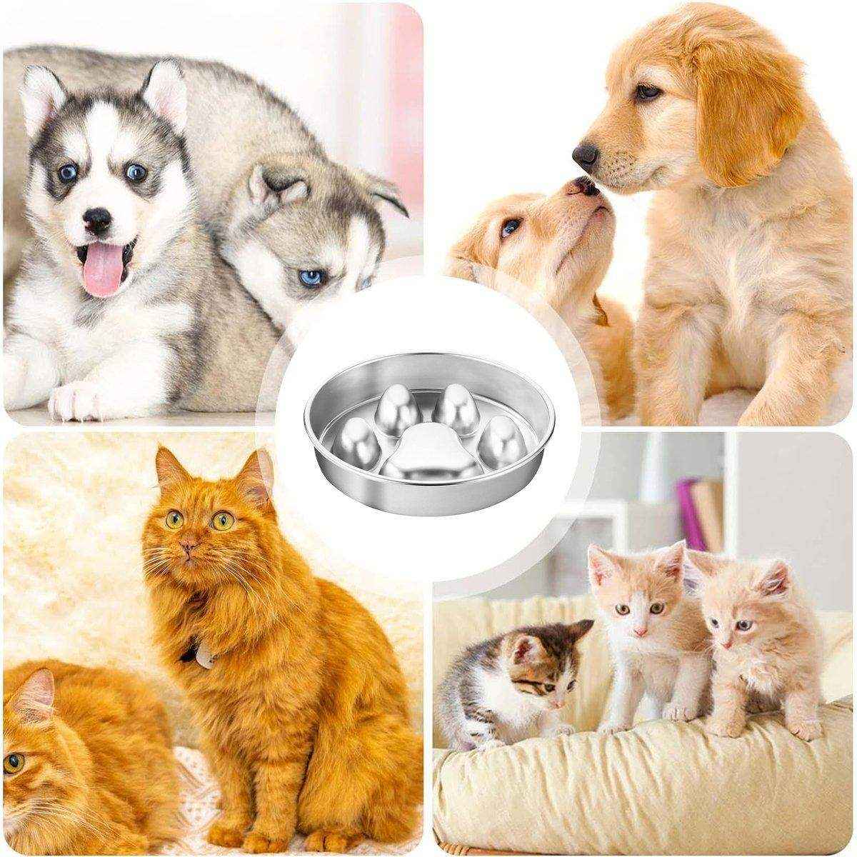 Durable Stainless Steel Slow Feeder Dog Bowl Anti-Bloat & Healthy Eating - Image 11