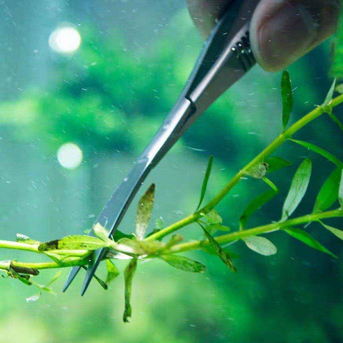 Aqua Plants Fish Tank Landscape Tools Aquarium Grass Tank Trimming Supplies Aqua Shears - Image 8