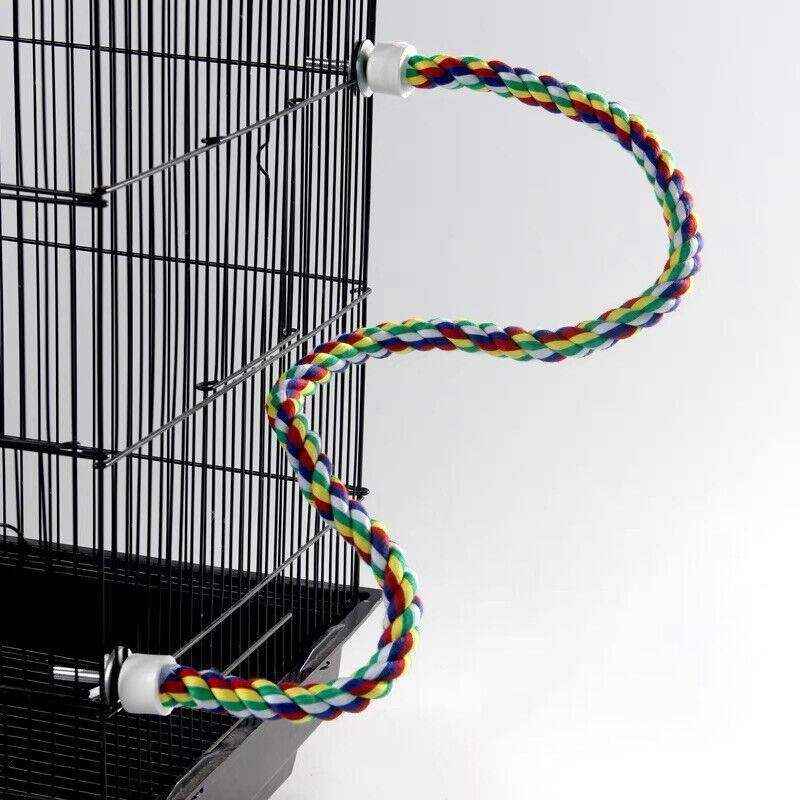 Colorful Standing Bird Perch 4 Sizes - Image 5