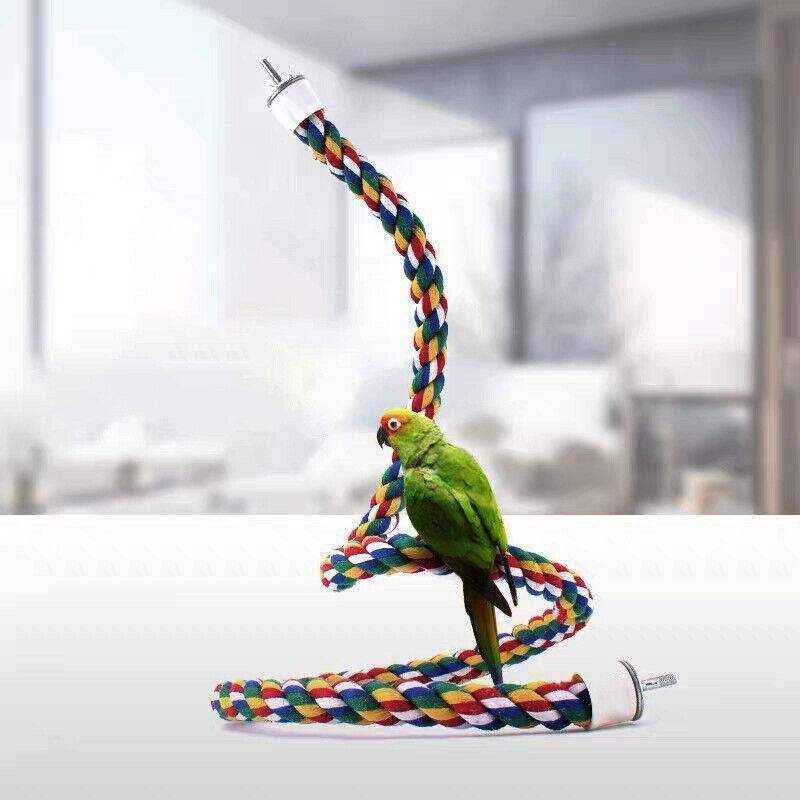 Colorful Standing Bird Perch 4 Sizes - Image 8