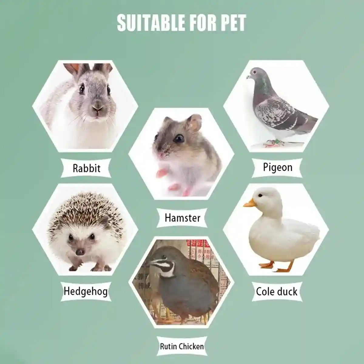 Cozy Straw Rabbit House with Detachable Base for Small Pets - Image 8