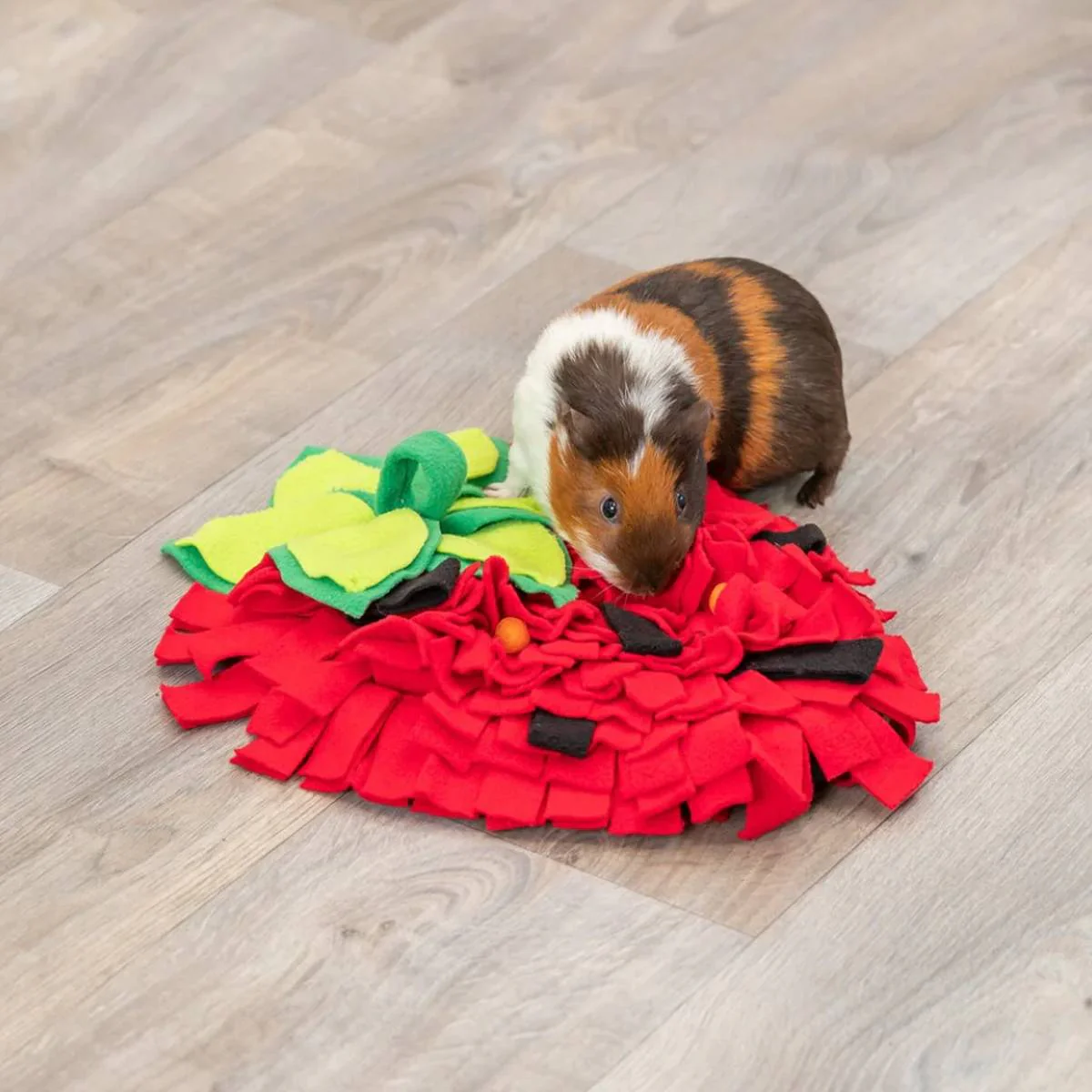 Strawberry Snuffle Mat For Dogs - Image 11