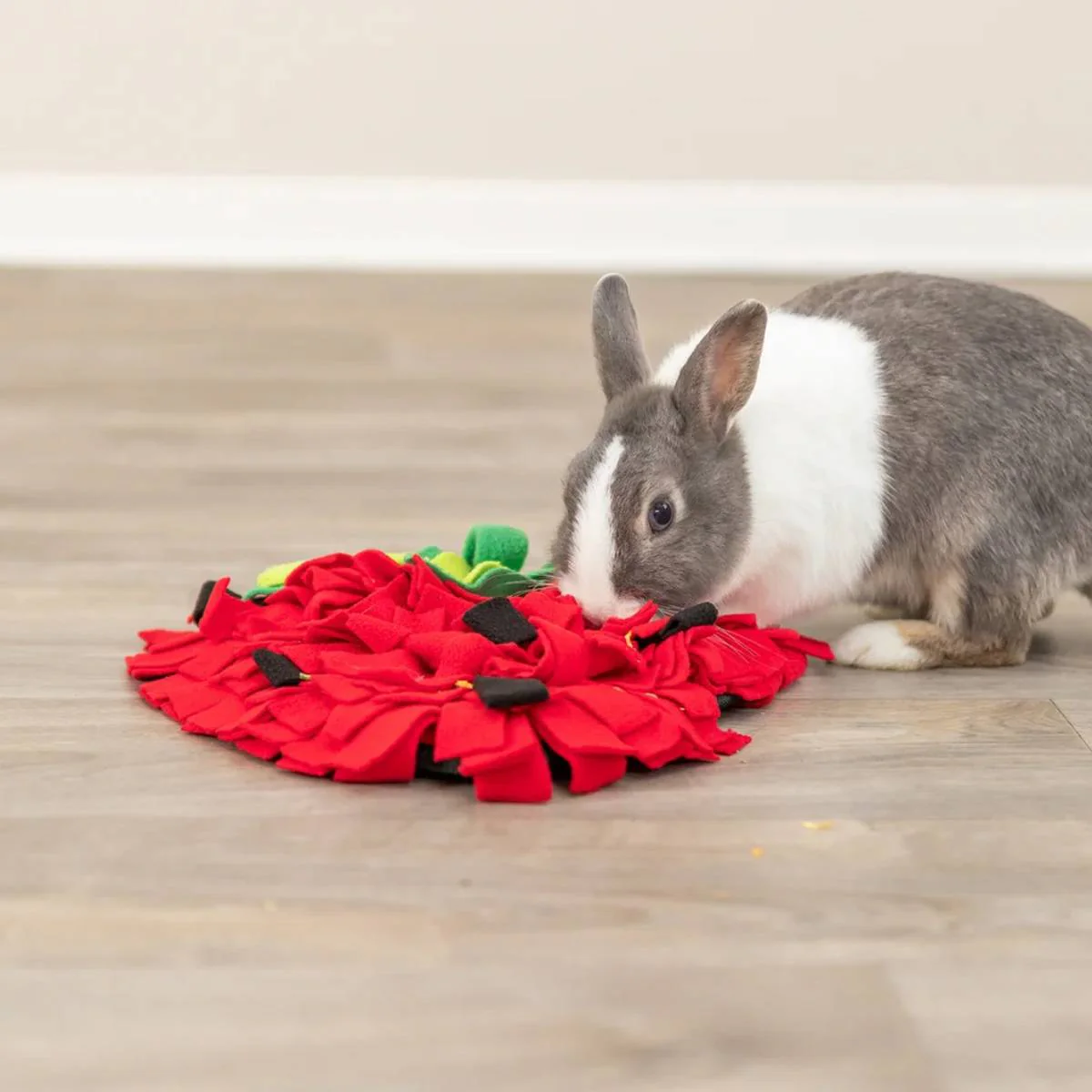 Strawberry Snuffle Mat For Dogs - Image 12