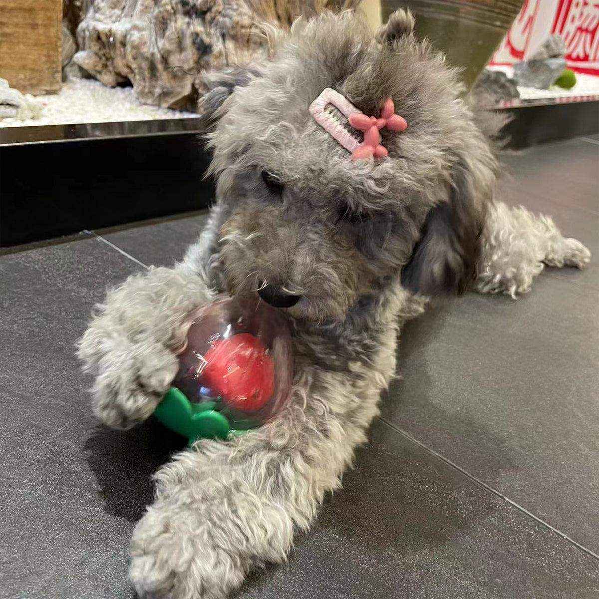 Strawberry Squeaky Dog Toy Durable Chew Toy for Interactive Play - Image 15