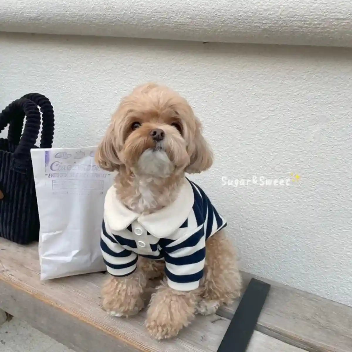 Striped Crew Neck Dog T-Shirt Fashionable Pet Outfit in Multiple Sizes - Image 10