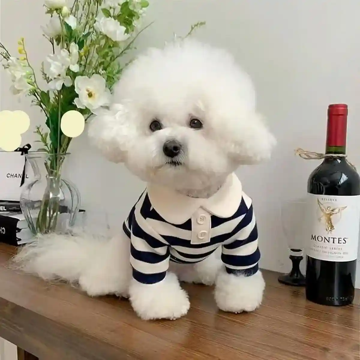 Striped Crew Neck Dog T-Shirt Fashionable Pet Outfit in Multiple Sizes - Image 3